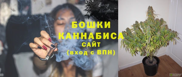 стафф Богородицк