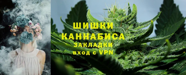 стафф Богородицк