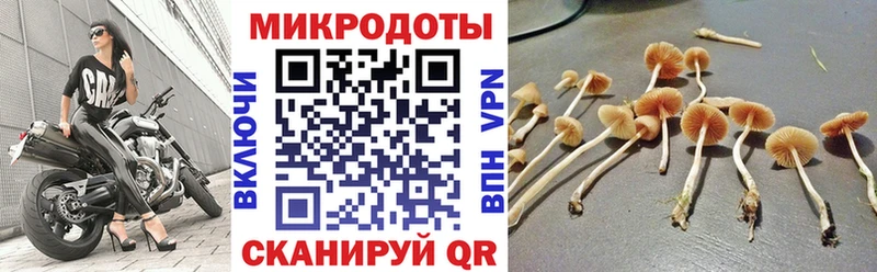 Галлюциногенные грибы Cubensis  Нарткала 